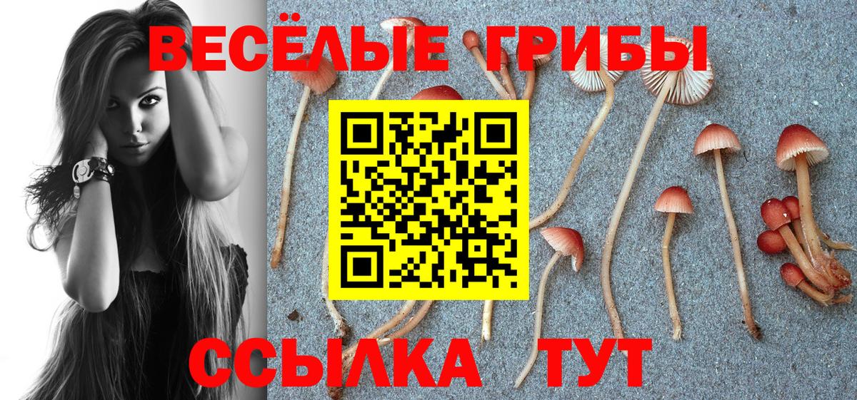 Дедовск  Псилоцибиновые грибы прущие грибы  Галлюциногенные грибы Cubensis  Вход с VPN 
